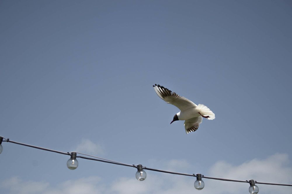 Photograph by Алена Сертакова