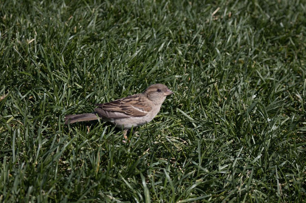 Photograph by Алена Сертакова