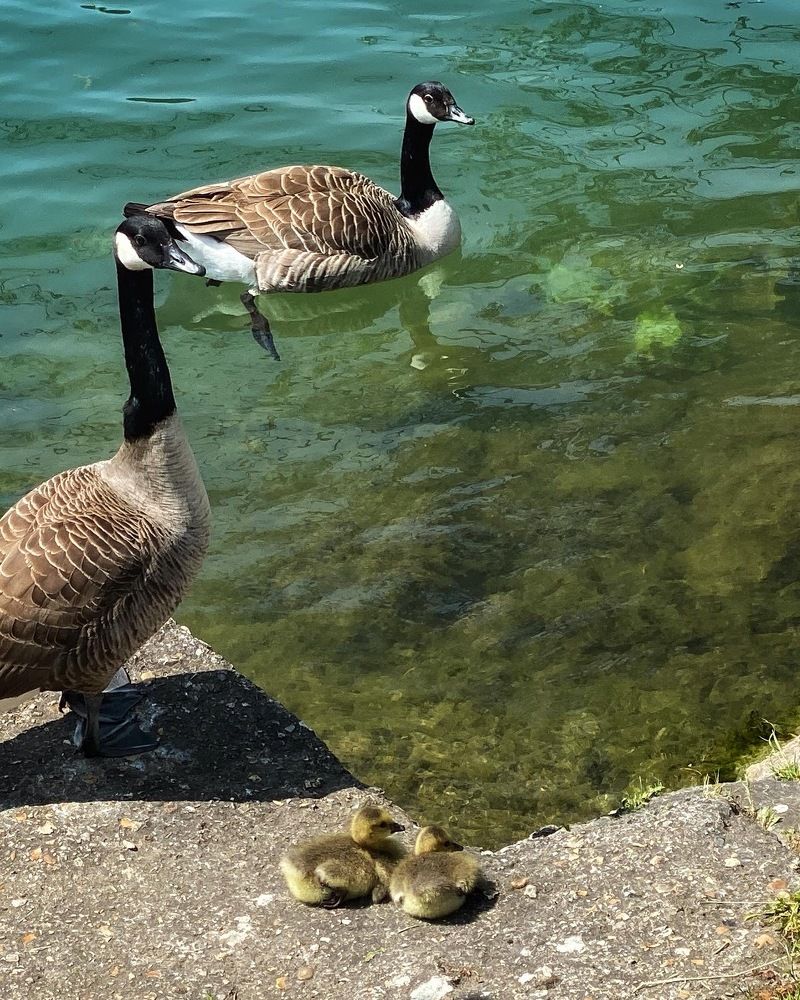 Photograph by Анастасия Куэлляр