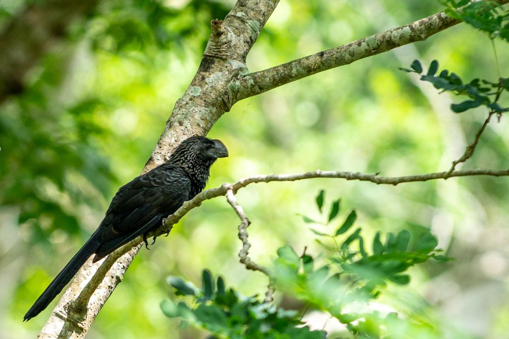 Photograph by Focus Estudio Fotográfico