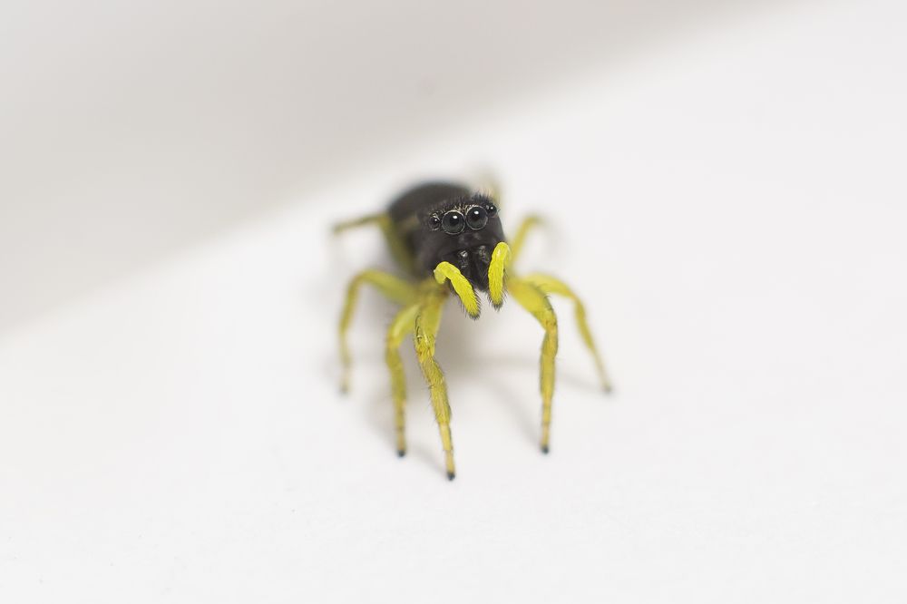 Photograph by Виктория Мамаева