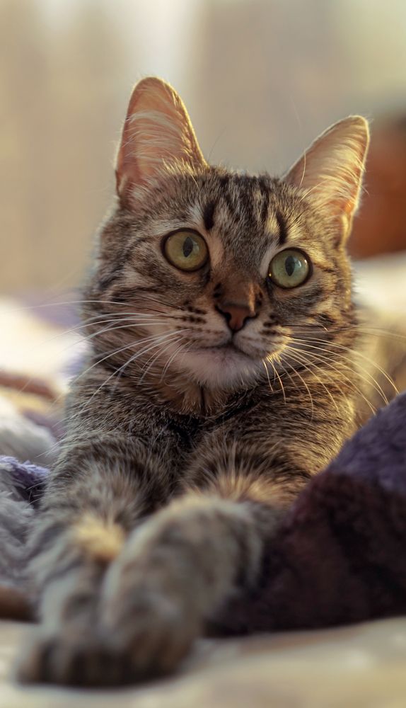 Photograph by Светлана Сушкевич