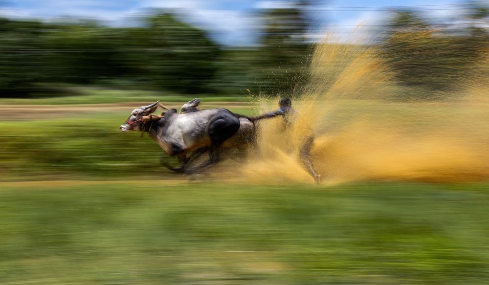 Photograph by Jayaraj TP