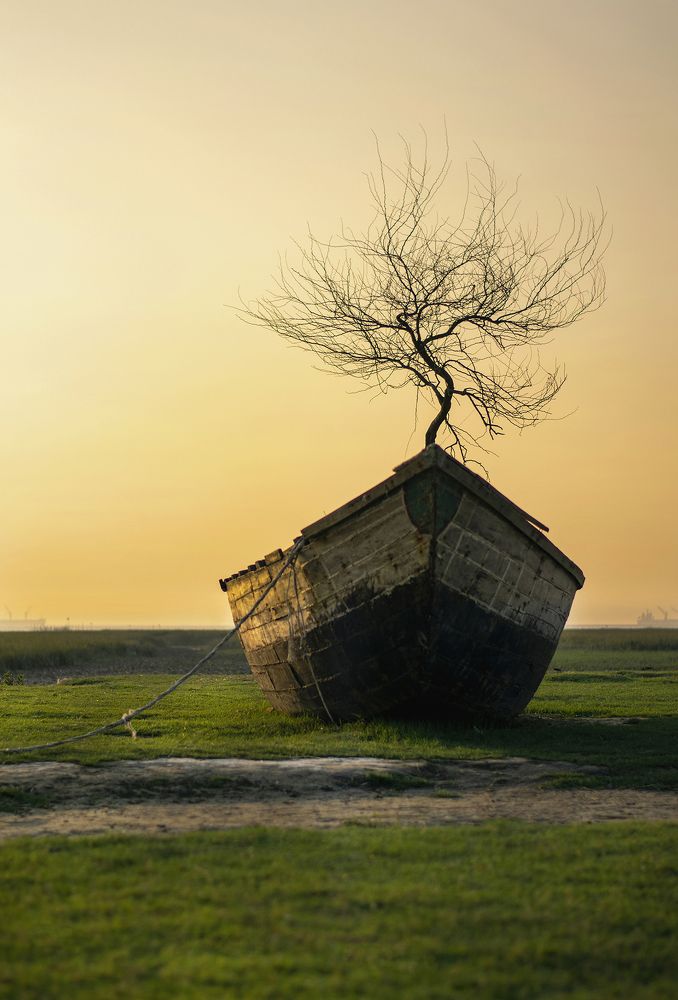 Photograph by Md. Aidul Islam