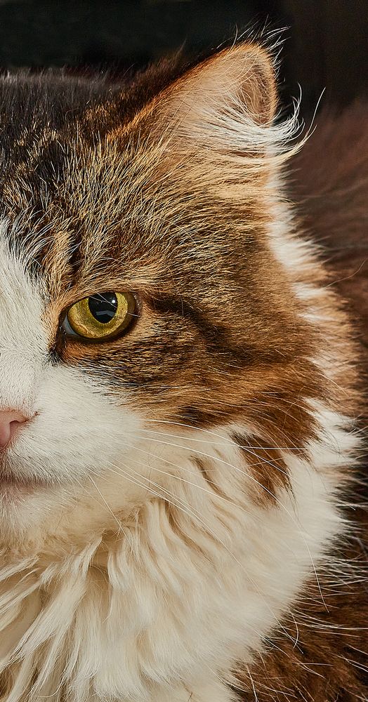 Photograph by Сергей Кириллов