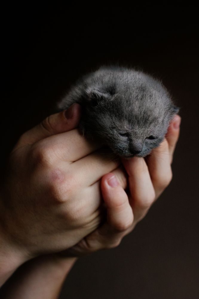 Photograph by Артём Корнев