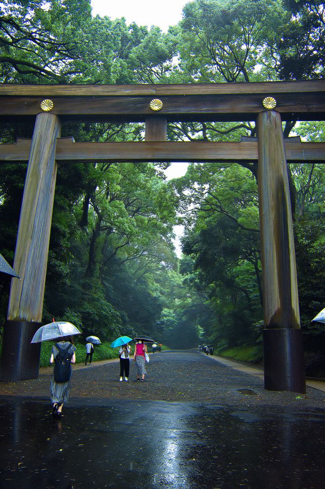 Фотография автора Sen Abhijit