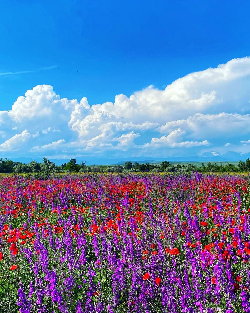 Photograph by Lasha Chkhaidze