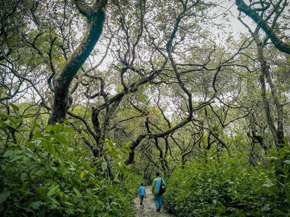 Photograph by Mizbahul Abedin