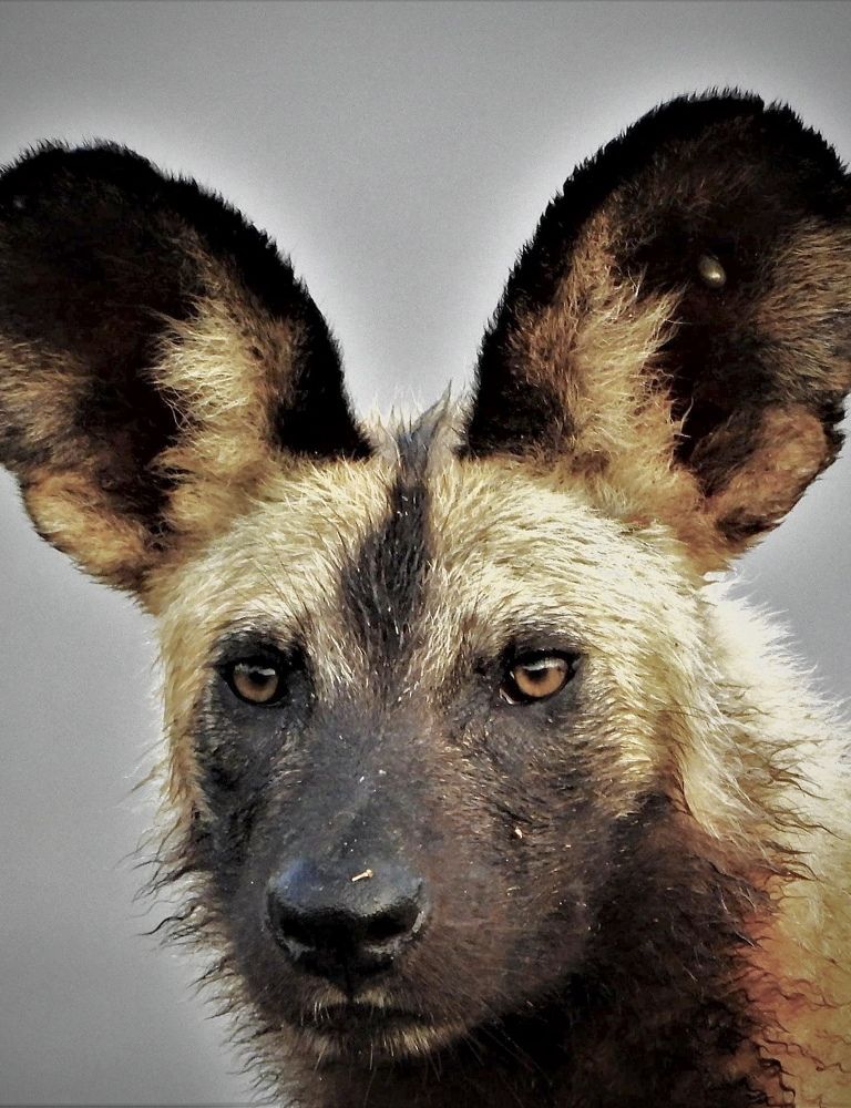 Photograph by Jennifer Cameron