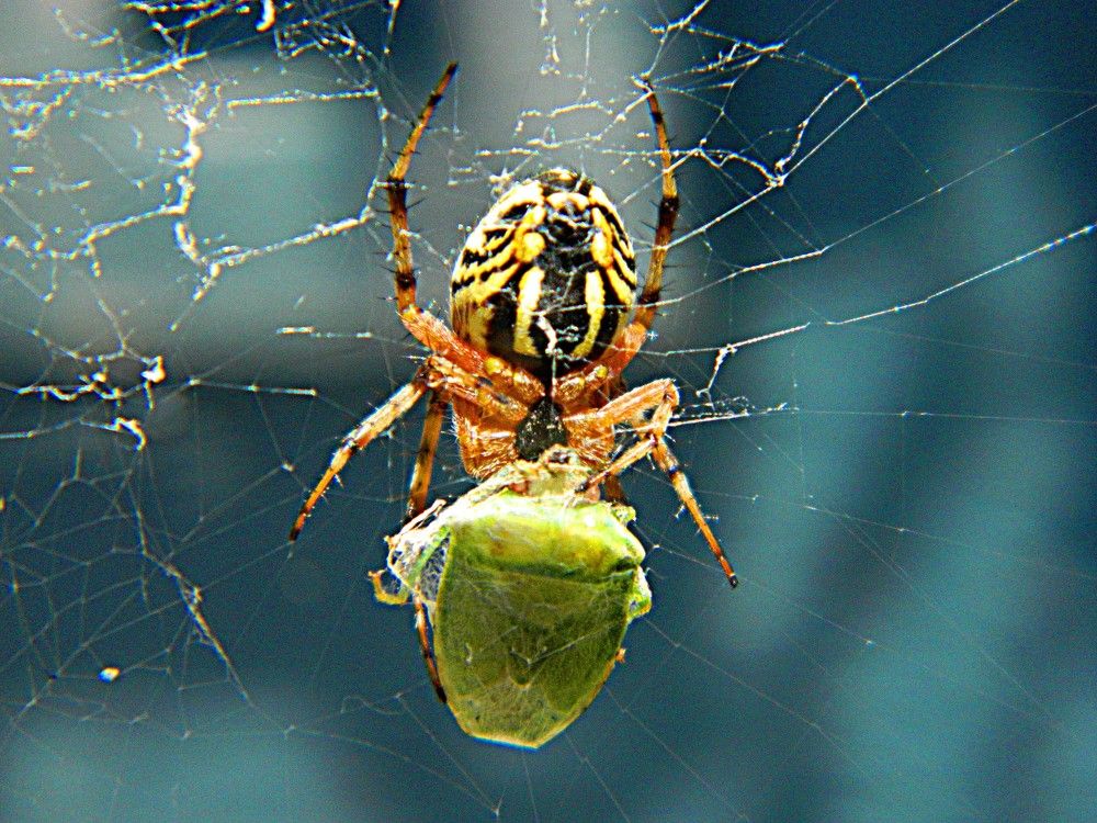 Photograph by Сергей Рапопорт