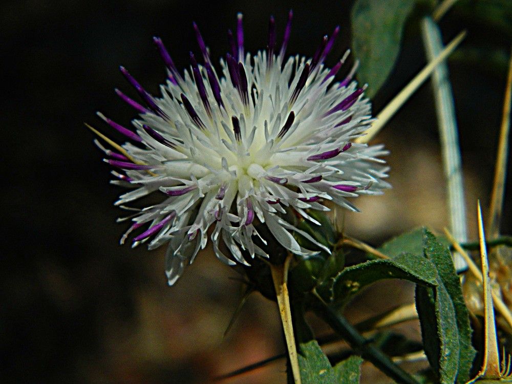 Photograph by Сергей Рапопорт