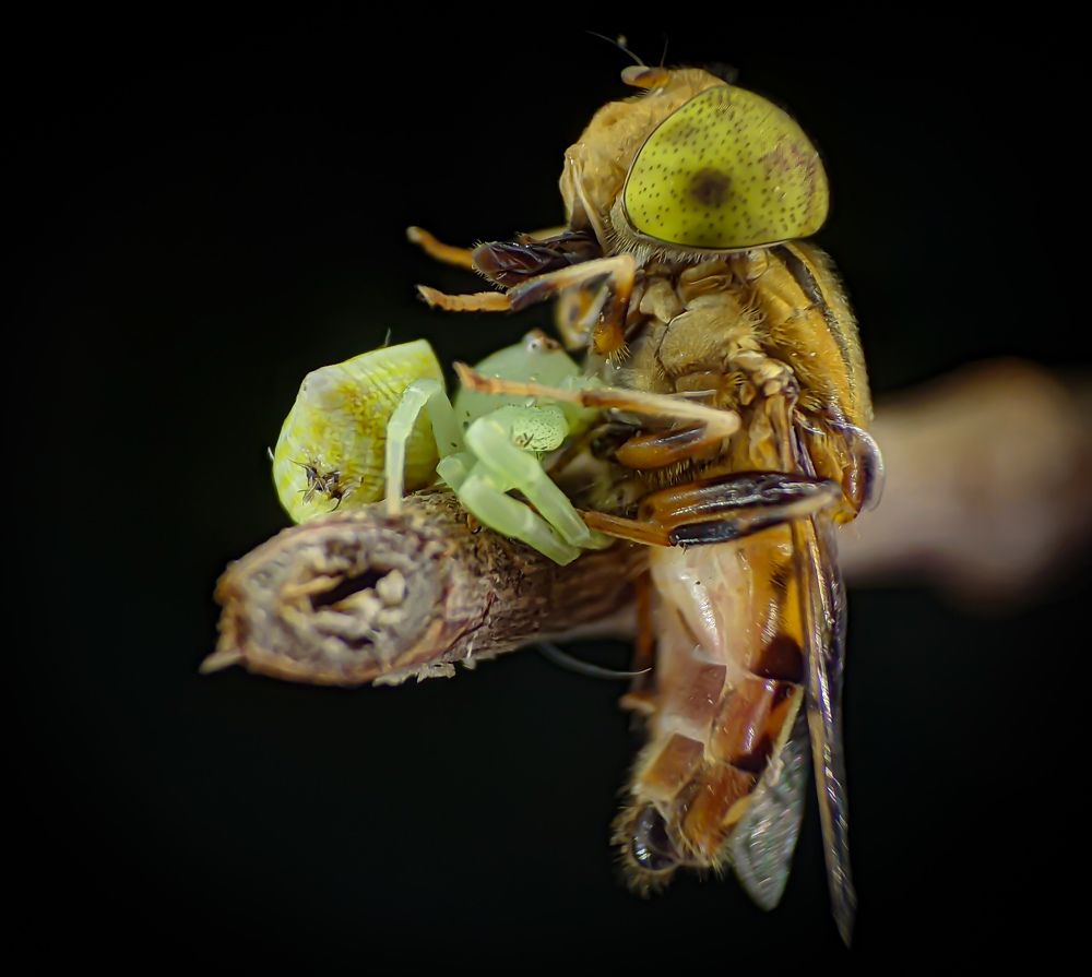 Photograph by dxxx delos santos