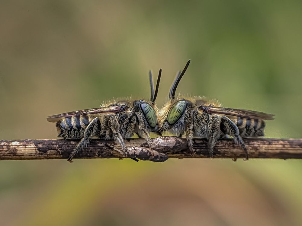 Photograph by dxxx delos santos