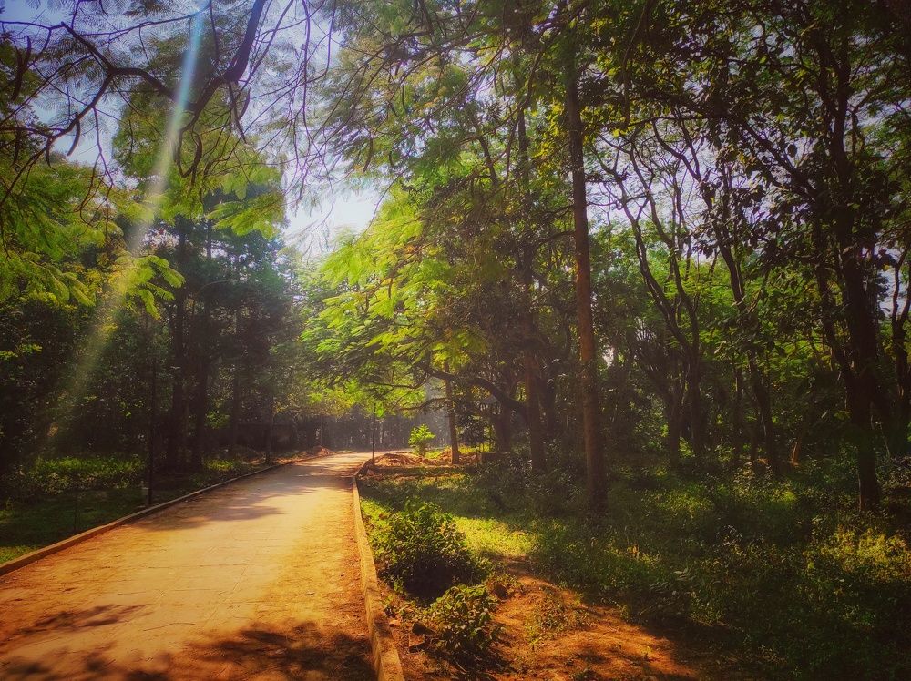 Photograph by Suraj Pratap