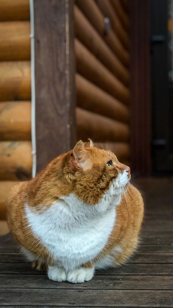 Photograph by Ирина Панюк