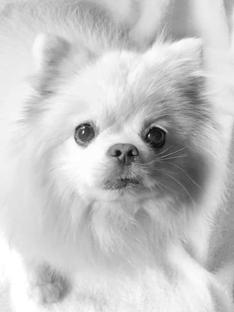 Photograph by Ирина Панюк