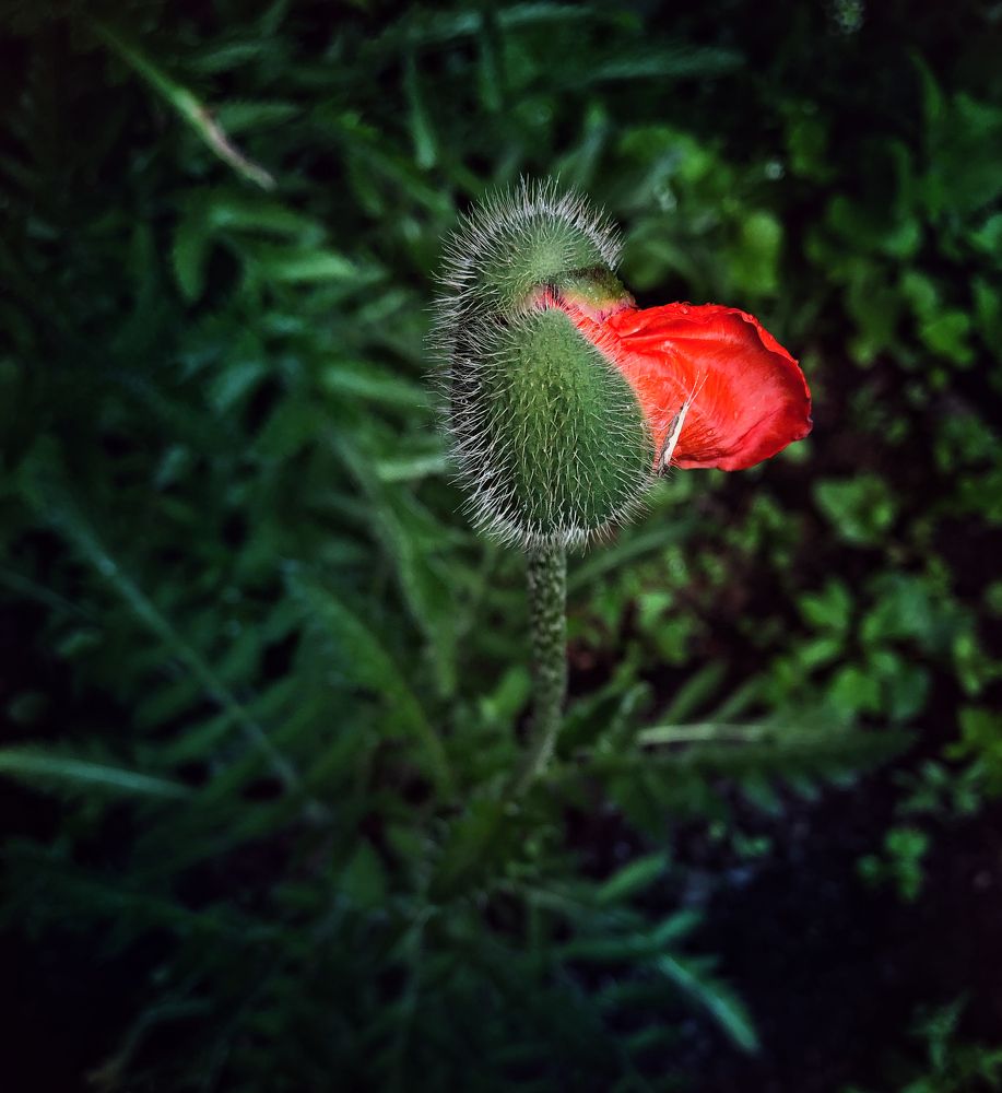 Photograph by Валентина Старикова