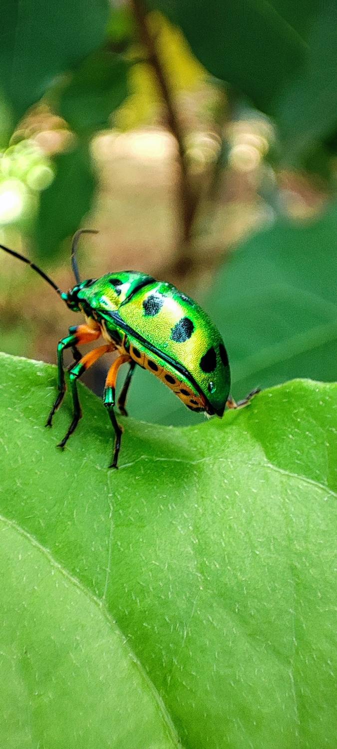 One of the many jewels of Mother Nature