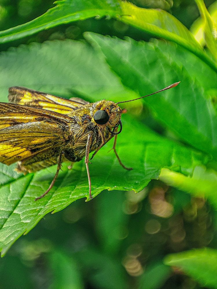 Photograph by Dayal Elayadath