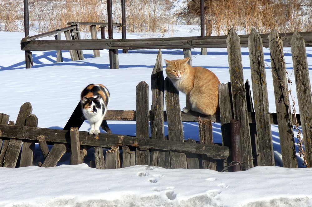 Photograph by Pjotr Alekseev