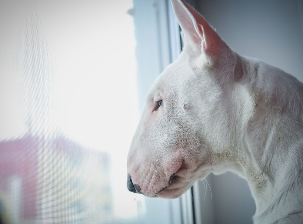 Photograph by Юлия Шматова