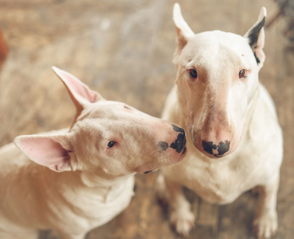 Photograph by Юлия Шматова