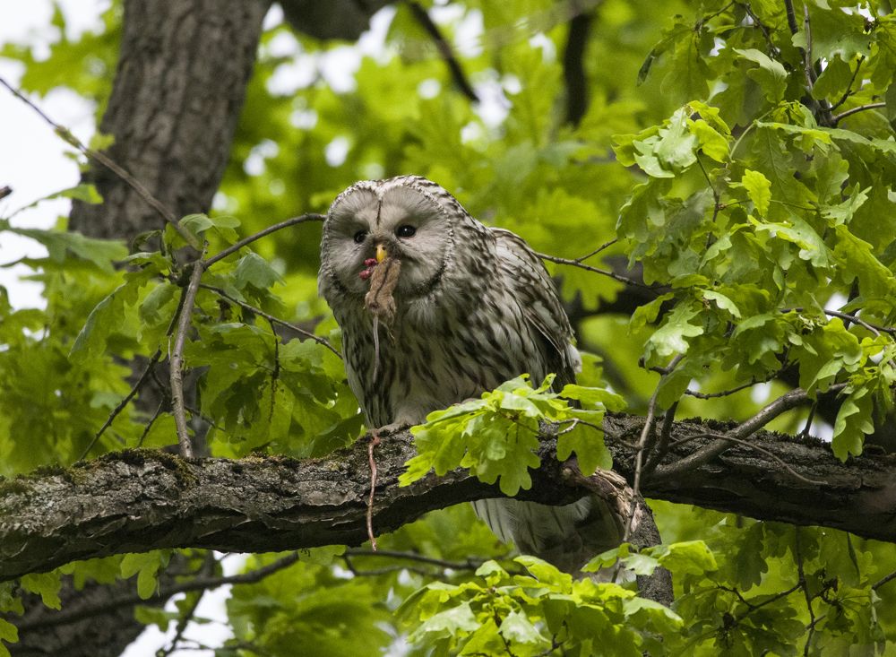 Отцы и дети