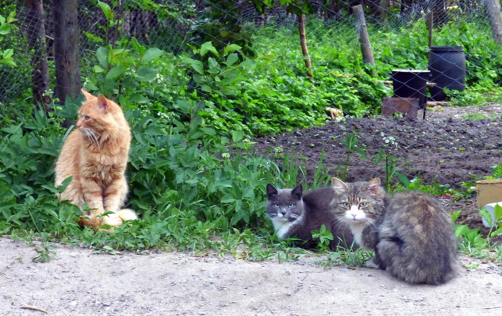 Photograph by Pjotr Alekseev