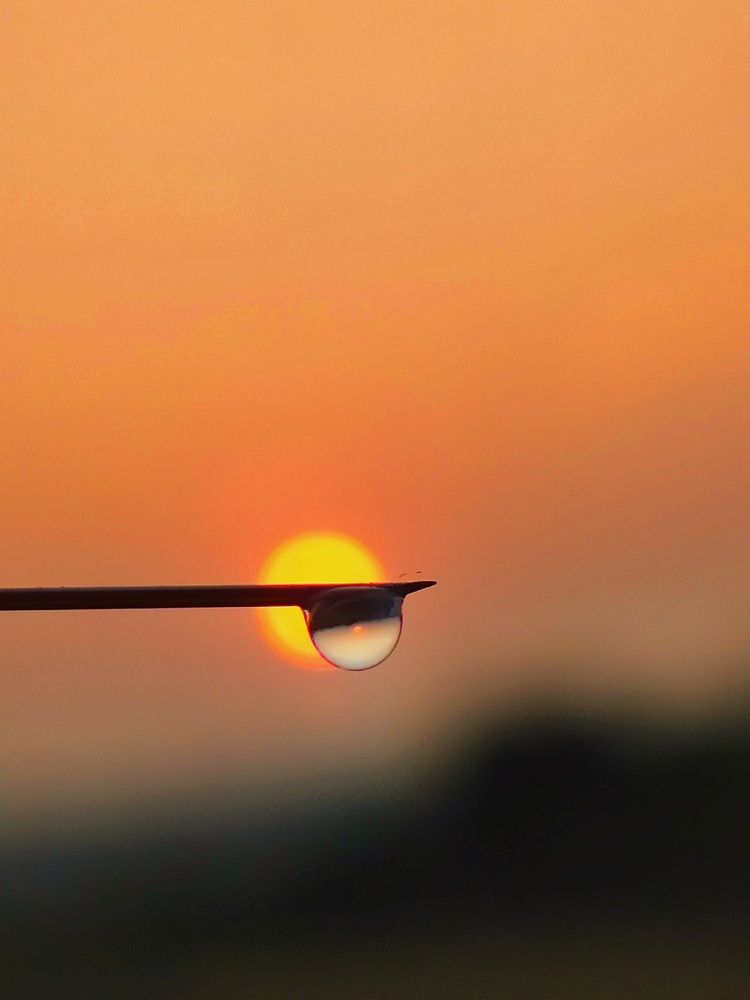 Photograph by Dipankar Patra