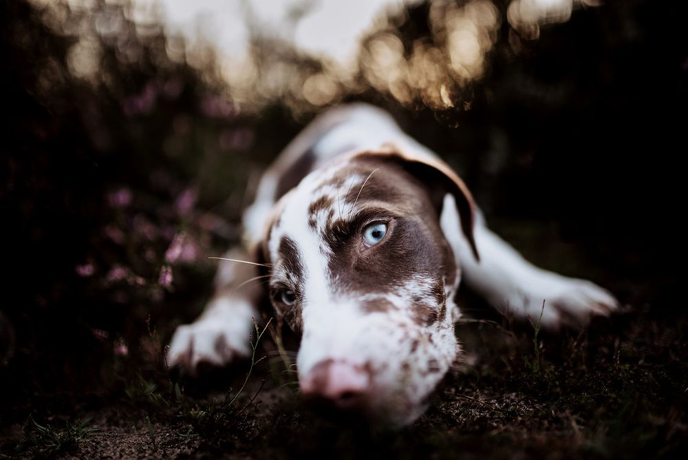 Photograph by Janine Ulbrich