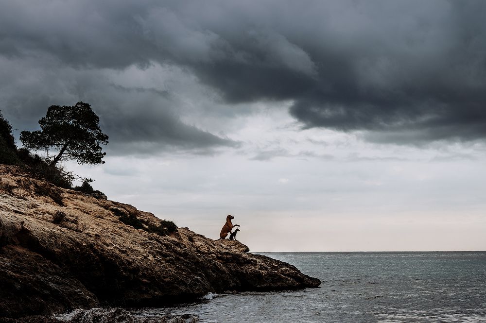 Photograph by Janine Ulbrich