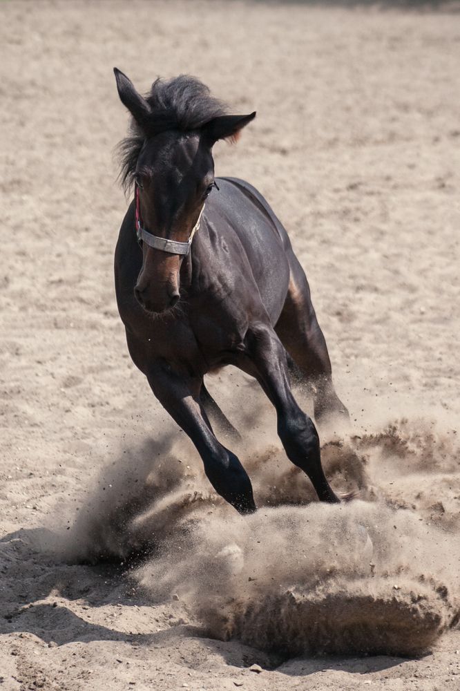 Photograph by Анатолий Лиясов