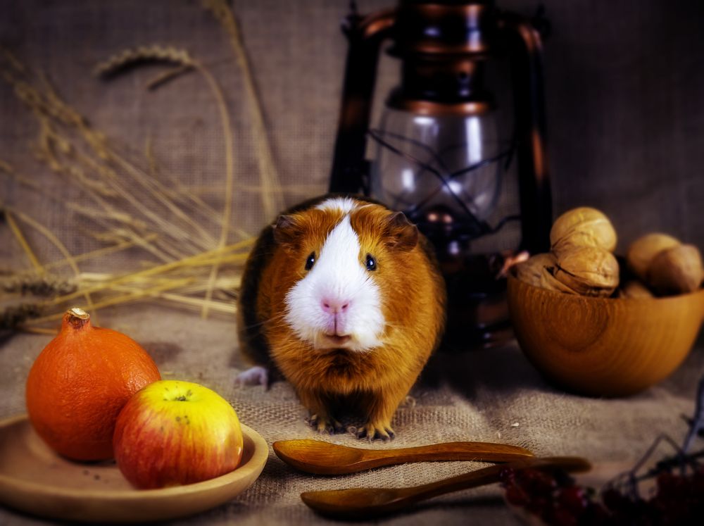 Photograph by Margarita