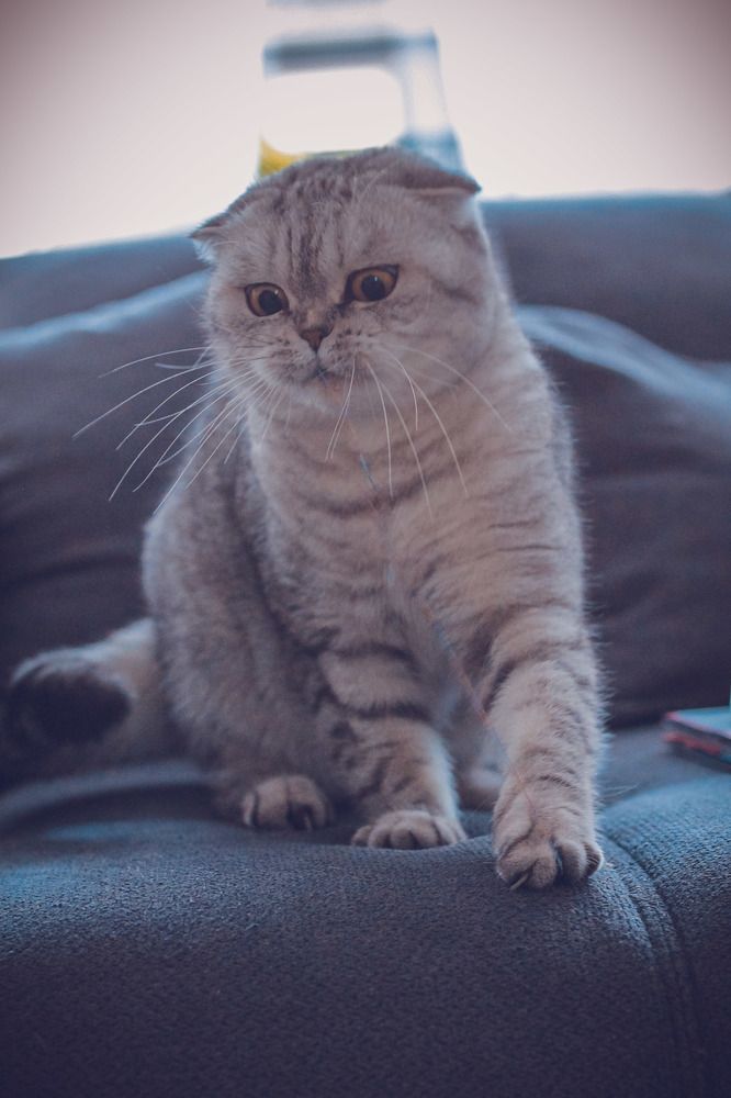 Photograph by Irina Chekanov