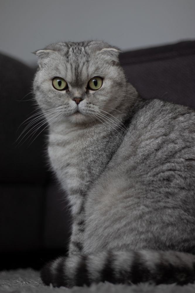 Photograph by Irina Chekanov