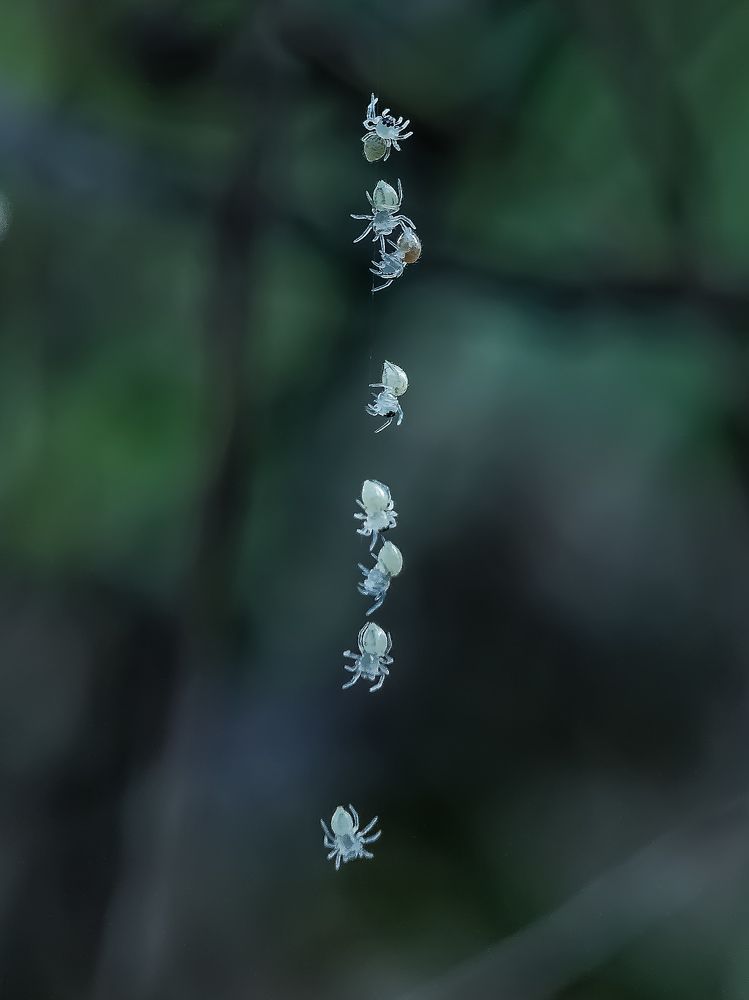 Photograph by Rahul Dey