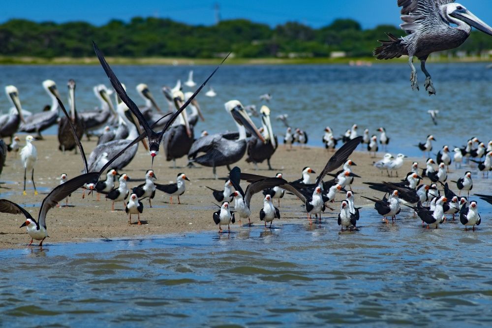 Фотография автора Yako Laverde