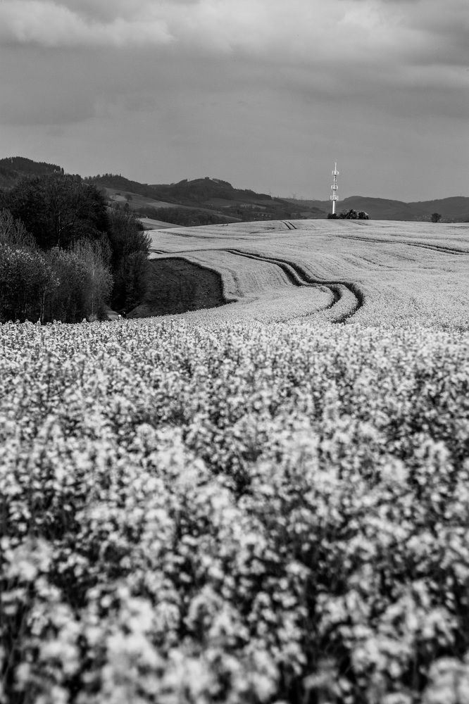 Photograph by Irina Chekanov