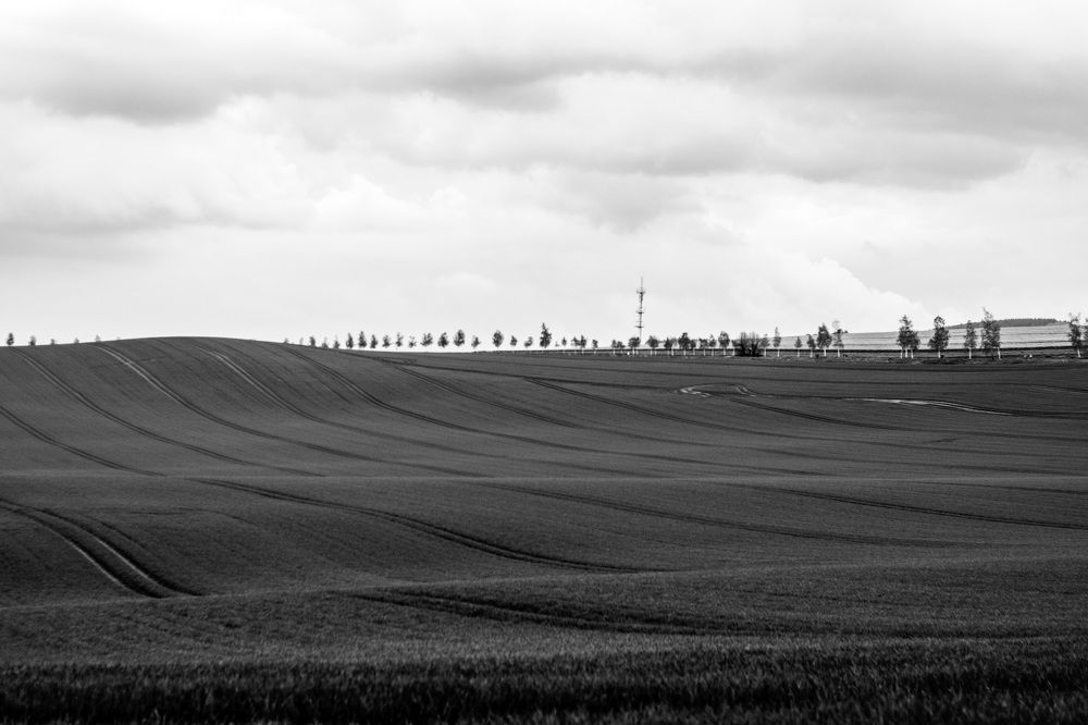 Photograph by Irina Chekanov