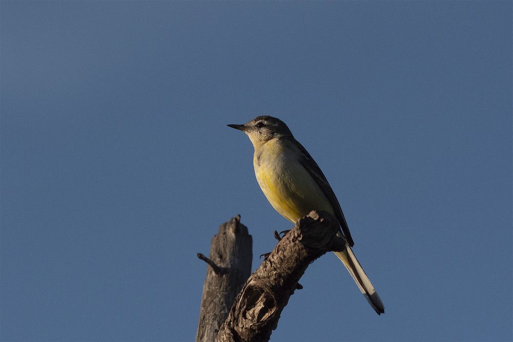 Photograph by Rogozina Olga