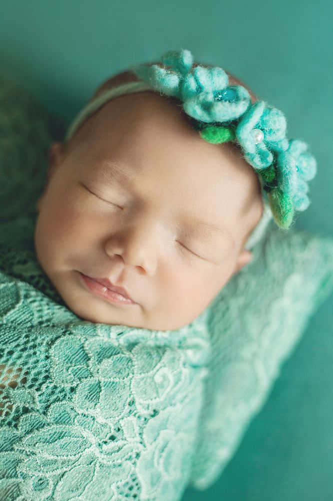 Фотография автора Алена Левина