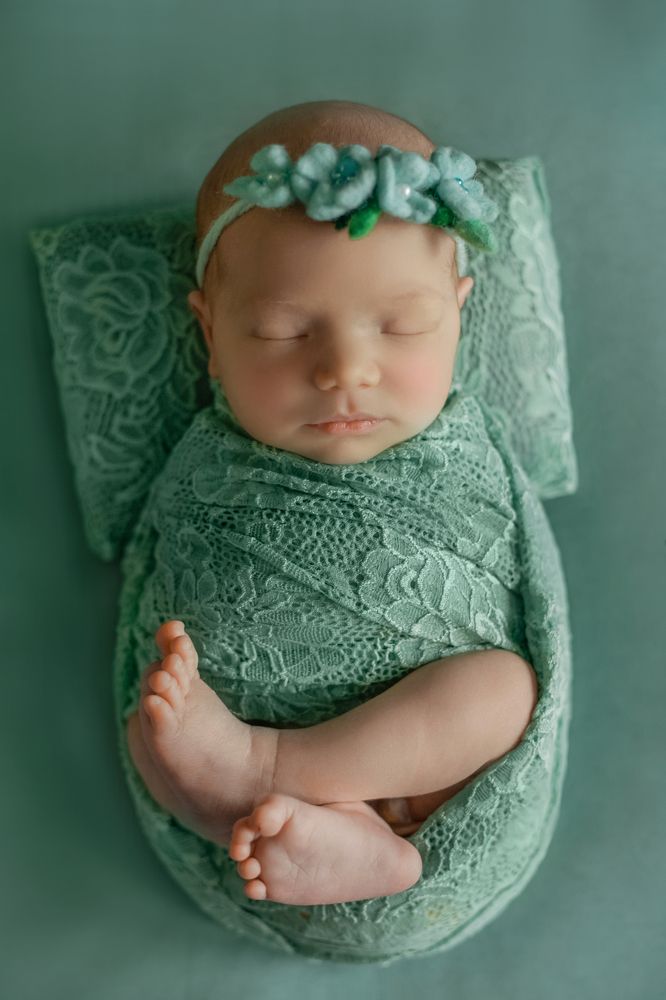 Фотография автора Алена Левина