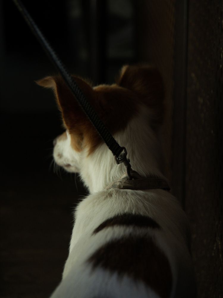 Photograph by Елена Лукьянова