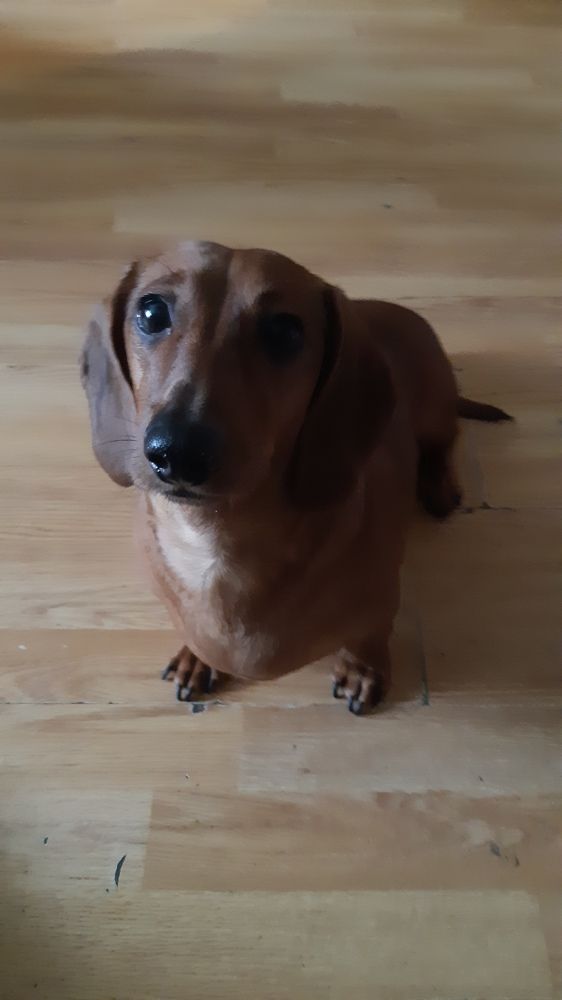 Photograph by Олеся