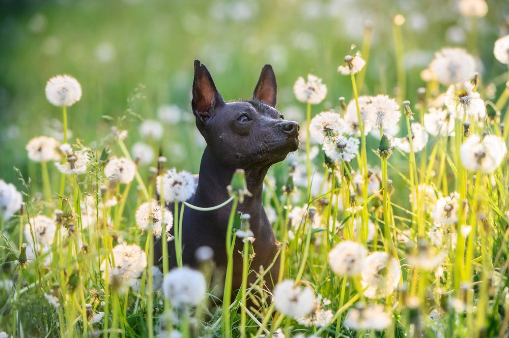 Photograph by Мария Новоселецкая