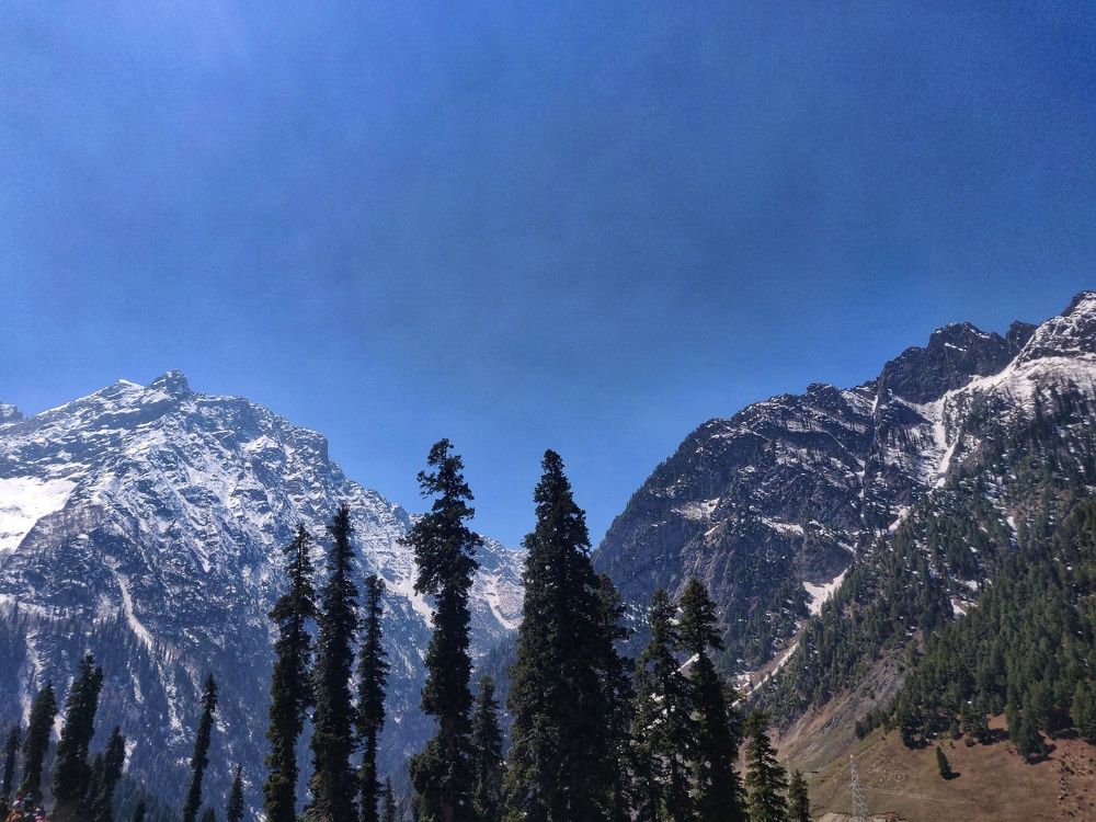 Beauty of Sonmarg