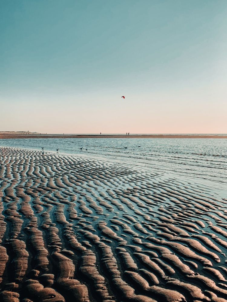 Photograph by Irina Chekanov