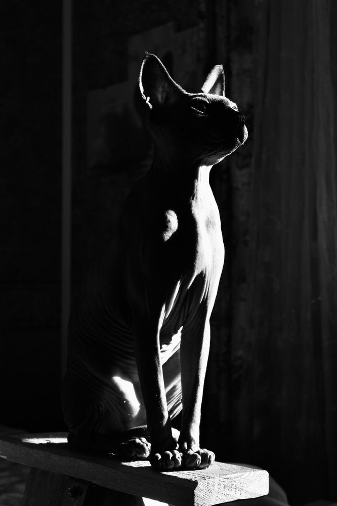 Photograph by Валерия Кутуева