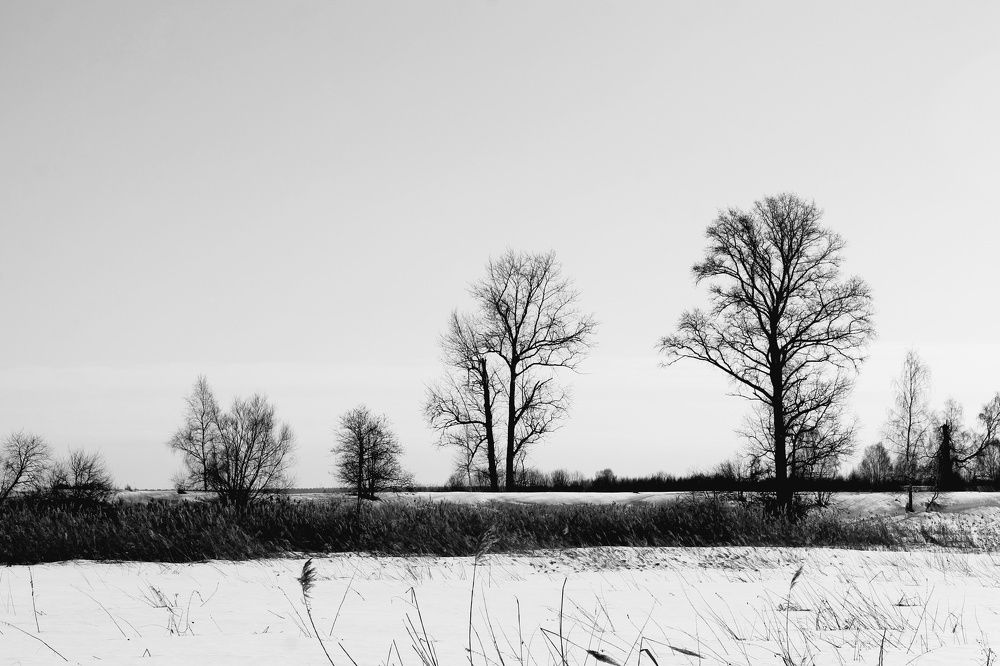 Photograph by Виктория Хмара